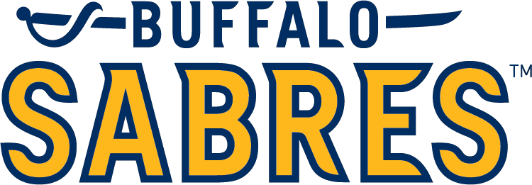 Buffalo Sabres 2013-2020 Wordmark Logo iron on heat transfer